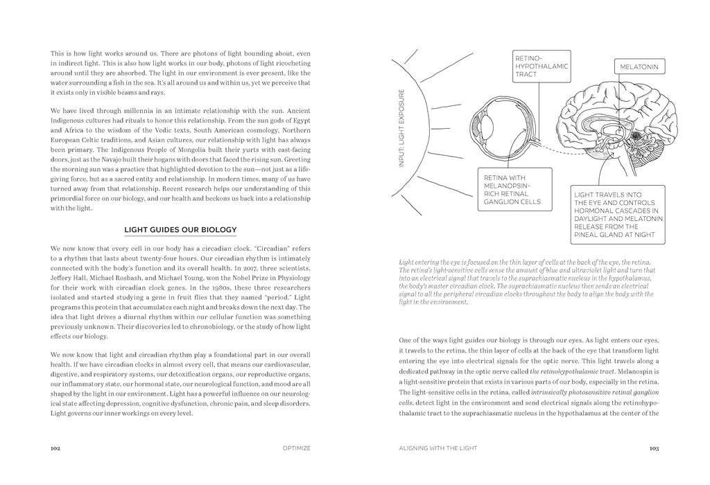 Optimize: A Revolutionary 7-Step Plan for Health and Longevity Through Quantum Biology