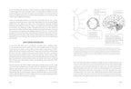 Optimize: A Revolutionary 7-Step Plan for Health and Longevity Through Quantum Biology