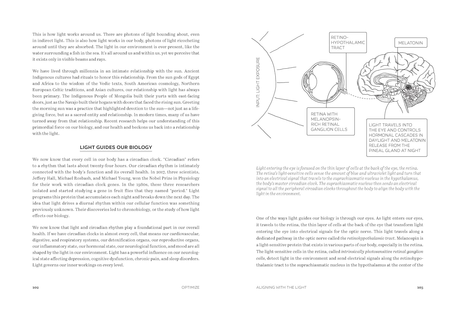 Optimize: A Revolutionary 7-Step Plan for Health and Longevity Through Quantum Biology