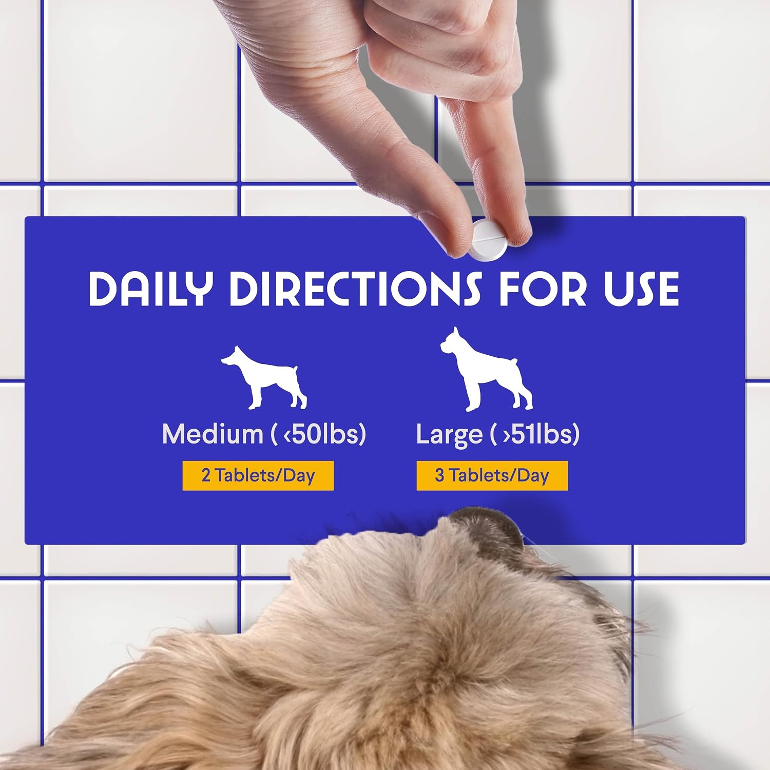 Suplemento de Vitamina B12 para Perros – B-12 para Todas las Edades, Tamaños y Razas – con Metilcobalamina, Cobalamina y Folato (5-MTHF) – 90 Comprimibles Sabor Carne