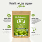 Herbsforever Amla Fruit (Seasonal Fresh, Seedless) Indian Gooseberry - Superfood, Antioxidants, Vitamin C | Wild Harvested - Non-GMO, Vegan | 454 g