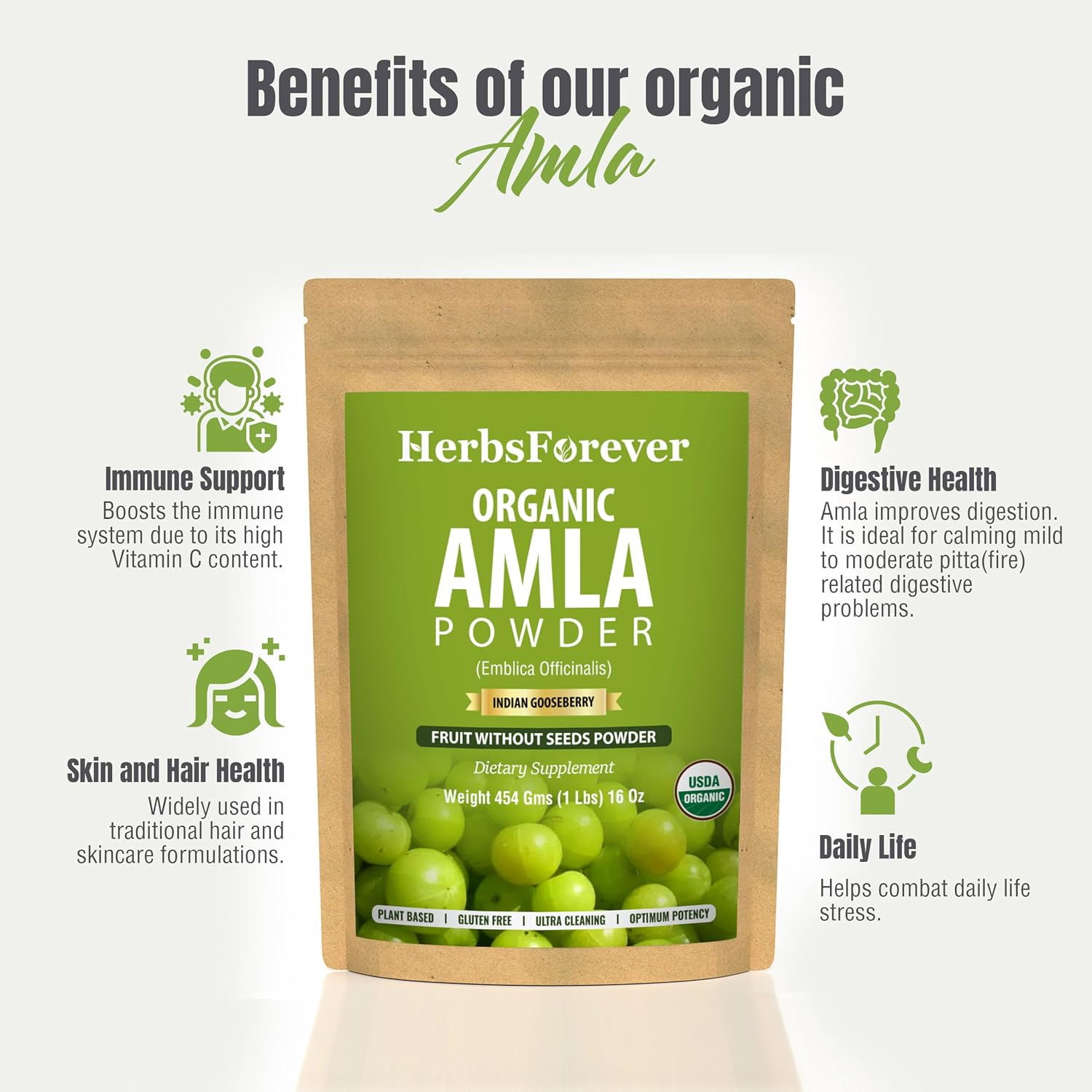 Herbsforever Amla Fruit (Seasonal Fresh, Seedless) Indian Gooseberry - Superfood, Antioxidants, Vitamin C | Wild Harvested - Non-GMO, Vegan | 454 g