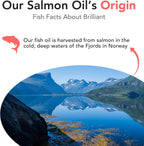 Brilliant Norwegian Salmon Oil for Dogs, Cats, Horse, Ferret - Pure Omega 3, 6 & 9 - 2x500 ml