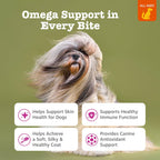 Zesty Paws Masticables de Aceite de Salmón para Perros - Omega 3, Piel y Pelaje, 250 unidades