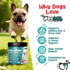 HMR Lignan + Melatonina + Biotina + Cardo Mariano para Perros | Fórmula 4 en 1 | Apoyo Adrenal y Niveles Normales de Cortisol | Salud de Piel, Pelaje y Digestiva | 90 Comprimidos Masticables | Sabor Natural a Carne