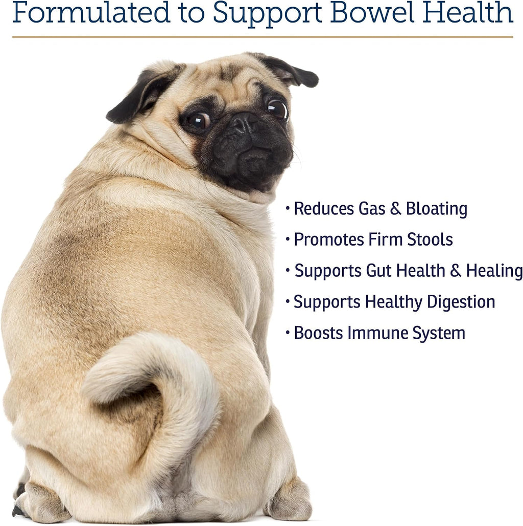 Rx Vitamins NutriGest - Probióticos para Perros y Gatos - Salud Digestiva - 4.65 oz (132 g)