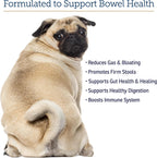 Rx Vitamins NutriGest - Probióticos para Perros y Gatos - Salud Digestiva - 4.65 oz (132 g)