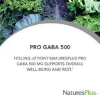 NaturesPlus PRO GABA 500 mg - 60 Cápsulas - No GMO, Vegano, Sin Gluten - 60 Dosis