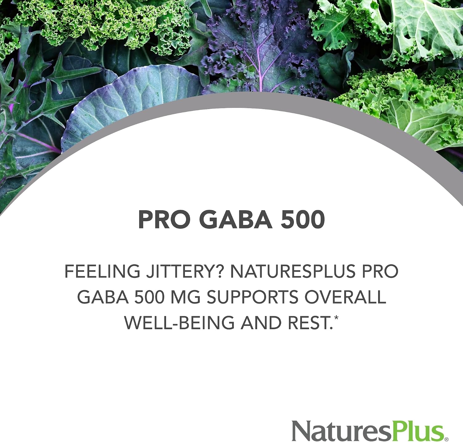 NaturesPlus PRO GABA 500 mg - 60 Cápsulas - No GMO, Vegano, Sin Gluten - 60 Dosis