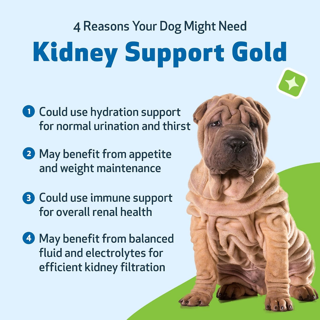 Pet Wellbeing Kidney Support Gold para Perros - Complemento Herbal para la Función Renal y Vitalidad - Formulado por Veterinarios - 59 ml