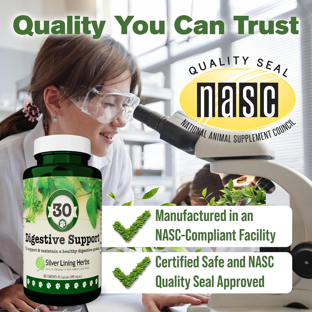 Digestive Support for Dogs - Natural Herbal Supplement - 90 Capsules
