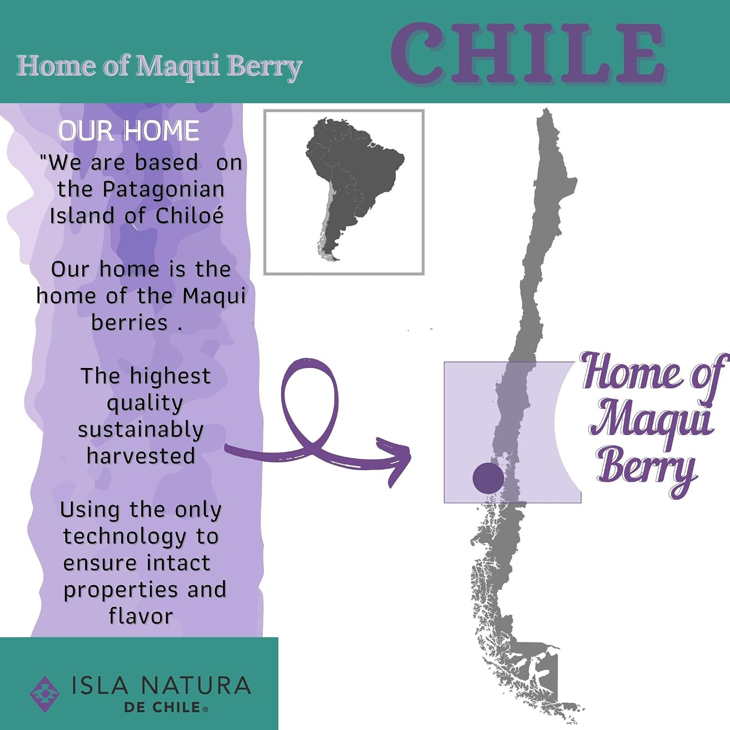 Cápsulas de Maqui Orgánico Isla Natura de Chile