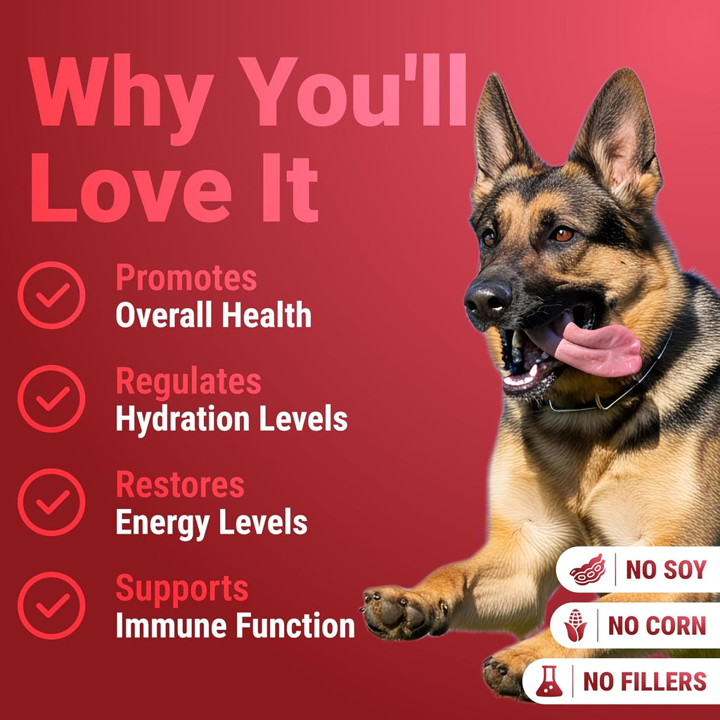 Turkey Tail Mushroom Powder para Perros - Mezcla de 7 Setas - WuffWell