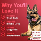 Turkey Tail Mushroom Powder para Perros - Mezcla de 7 Setas - WuffWell