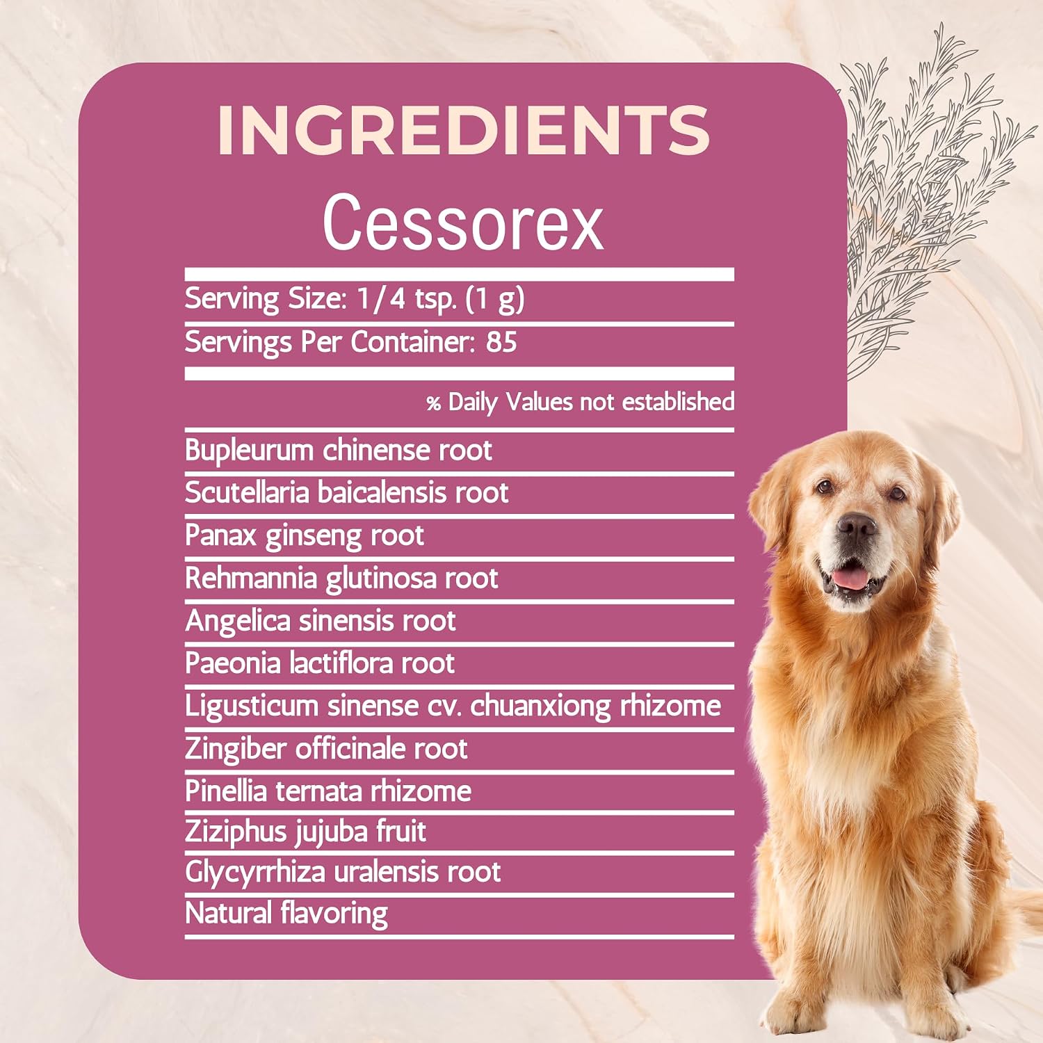 Cessorex Complemento para Alergias y Salud de la Piel para Perros - Polvo de 85g
