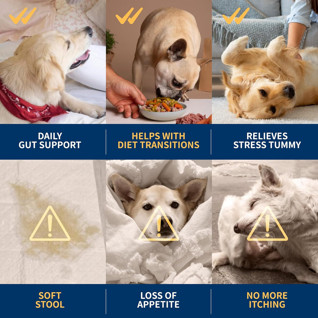 Dr. Kiwi O'dogcat Probióticos para Perros - Salud Digestiva e Inmunitaria