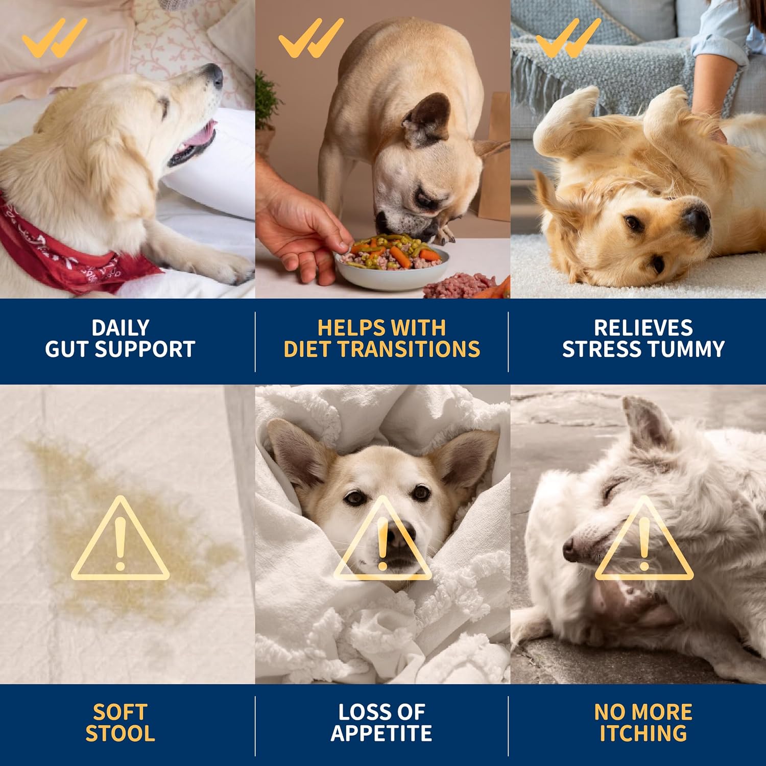 Dr. Kiwi O'dogcat Probióticos para Perros - Salud Digestiva e Inmunitaria