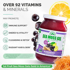 Gel de Musgo de Mar Irlandés Silvestre - Rico en Nutrientes - 1 Tarro