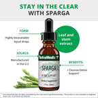 Sparga Asparagus Tincture - Antioxidant Extract - 30 ml