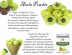 Polvo de Fruta de Amla (Amalaki) 100 g - AYURVEDASHREE