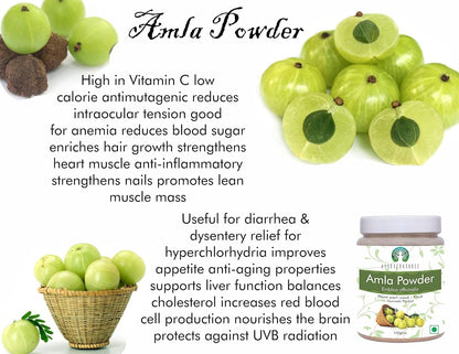 Polvo de Fruta de Amla (Amalaki) 100 g - AYURVEDASHREE – Image 6