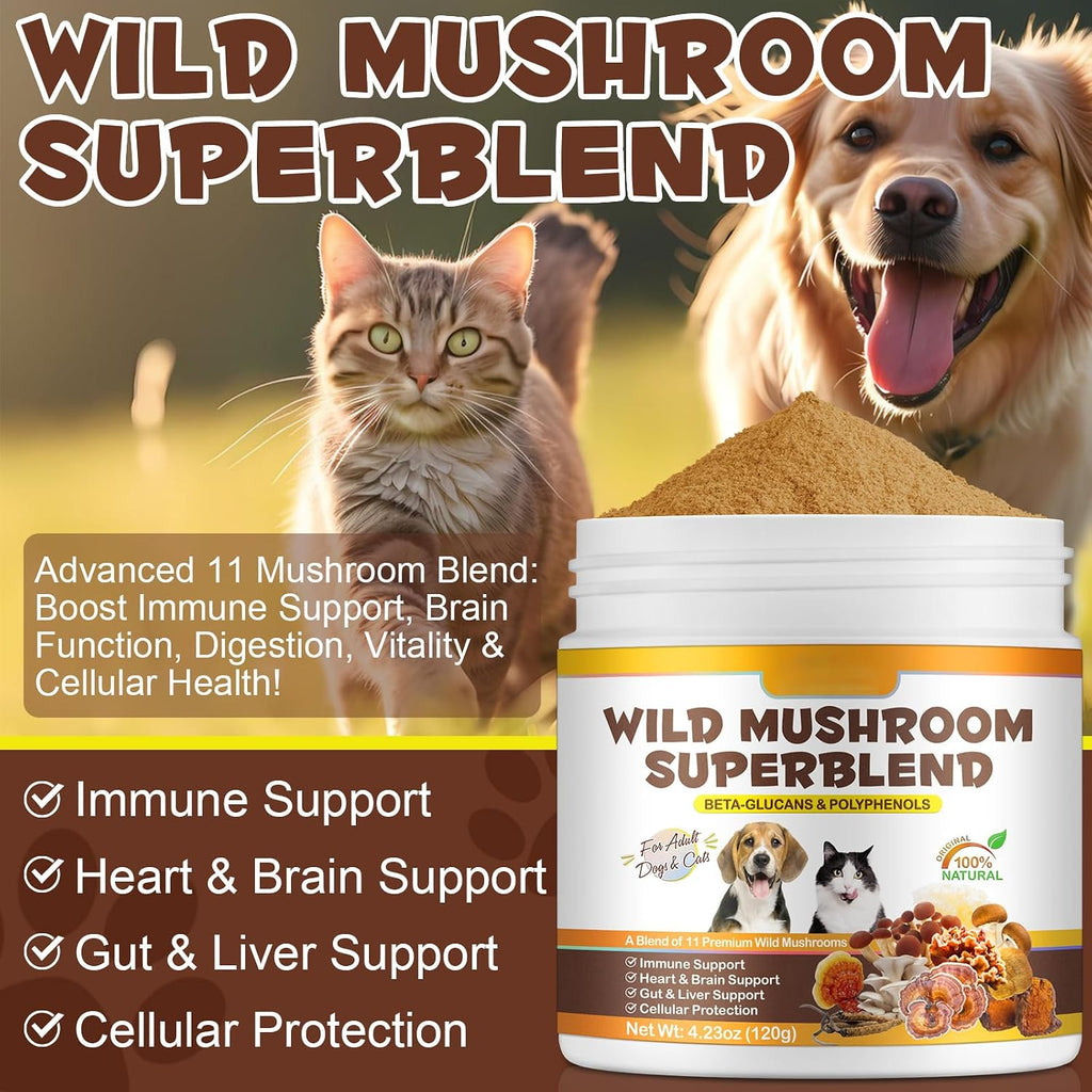FANGCUN Polvo de Hongos para Perros y Gatos - Mezcla de 11 Setas, Sabor a Bacon, 120g