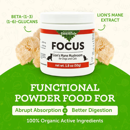 Animal Essentials Focus Lions Mane Mushroom – Equilibrio del sistema inmunológico: Este hongo es conocido por sus – Image 3