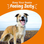 Zesty Paws Multivitamínico para perros - Masticables con omega 3, glucosamina y probióticos - Sabor a pollo - 90 unidades
