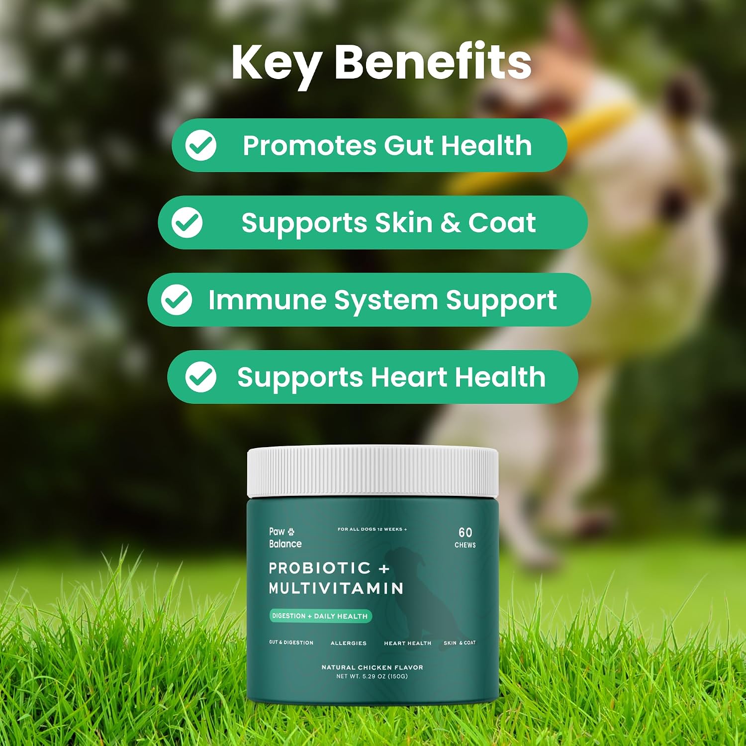 Paw Balance Probióticos y Multivitamínicos para Perros - 60 Masticables con Omega 3 y Calostro