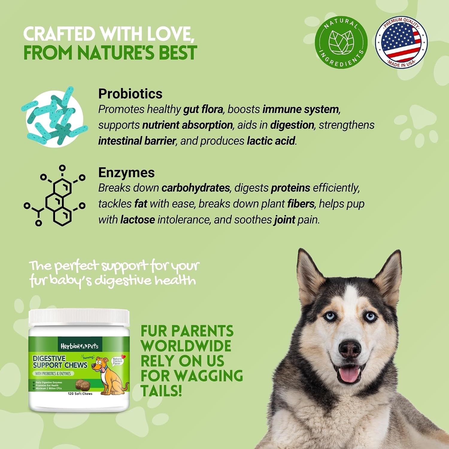 Herbion Pets Digestive Support Chews con Probióticos y Enzimas, 120 Masticables Blandos