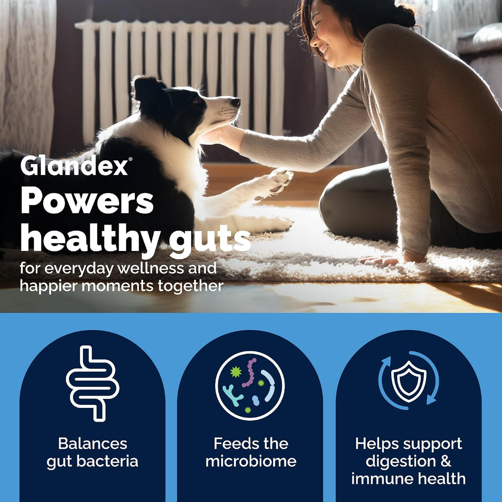 Vetnique Glandex Probióticos para Perros (60 Chews Masticables)