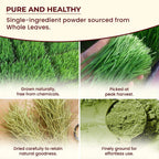 Darsa Organics Polvo de Hierba de Trigo Orgánico (1 lb)