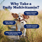 Solid Gold Multivitamínico para Perros - Gomitas Blandas - Apoyo Completo para Corazón, Sistema Inmunitario, Cerebro, Piel, Pelaje y Salud Digestiva con Vitamina C, B12, Probióticos y Antioxidantes - Sabor a Bacon 120 unidades