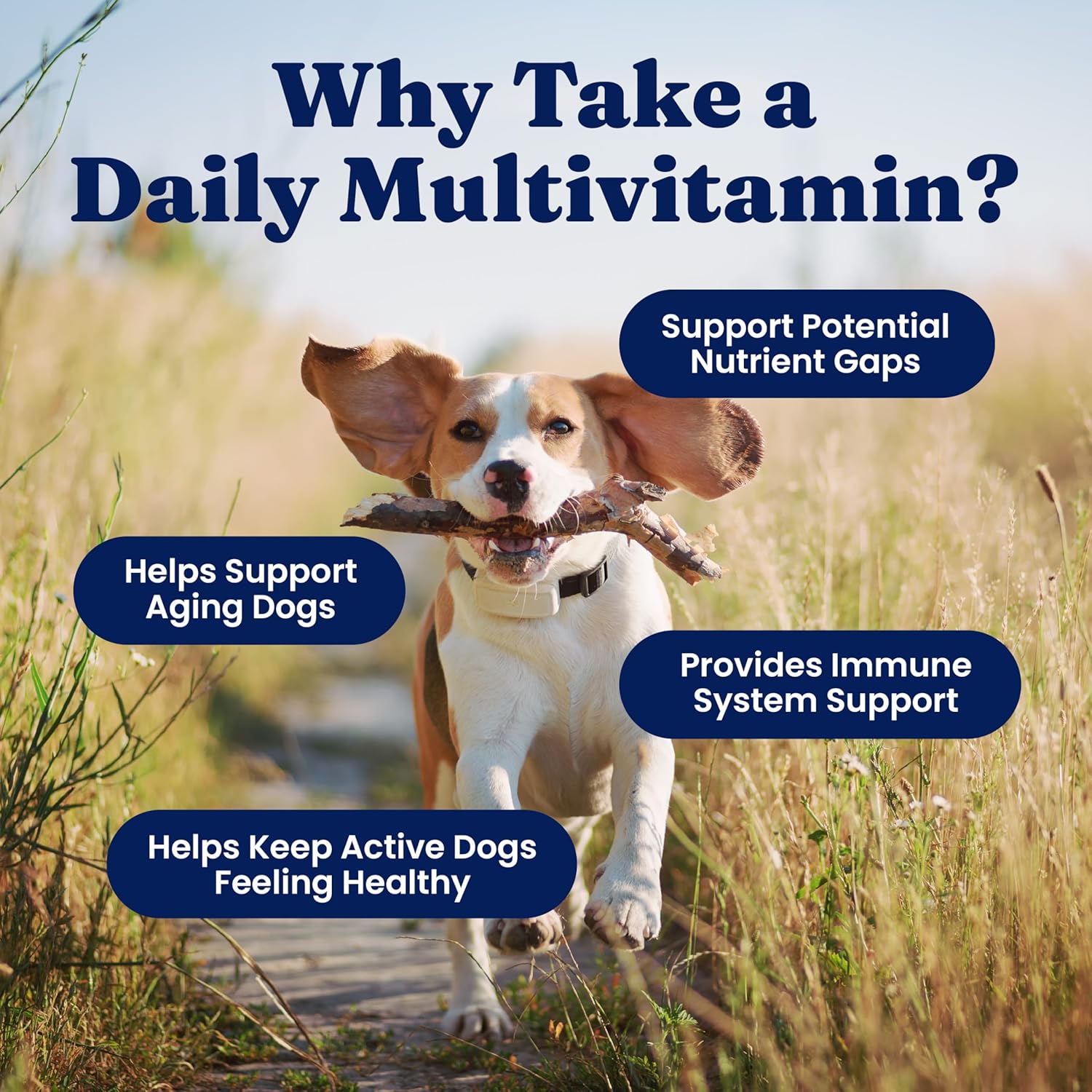 Solid Gold Multivitamínico para Perros - Gomitas Blandas - Apoyo Completo para Corazón, Sistema Inmunitario, Cerebro, Piel, Pelaje y Salud Digestiva con Vitamina C, B12, Probióticos y Antioxidantes - Sabor a Bacon 120 unidades