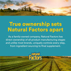 Natural Factors - Fosfatidilcolina (PC) 420mg, Favorece la Función Hepática, 90 Cápsulas Blandas