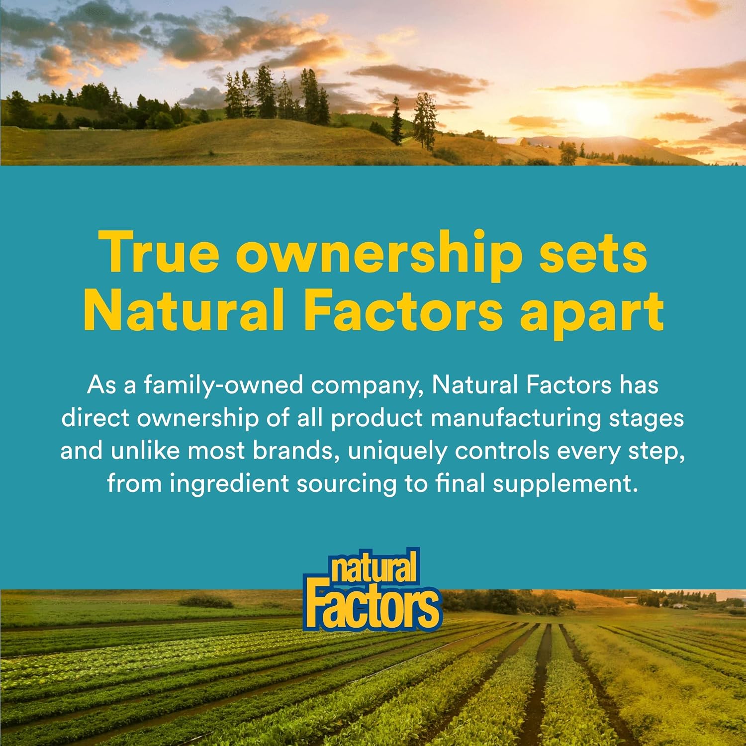 Natural Factors - Fosfatidilcolina (PC) 420mg, Favorece la Función Hepática, 90 Cápsulas Blandas