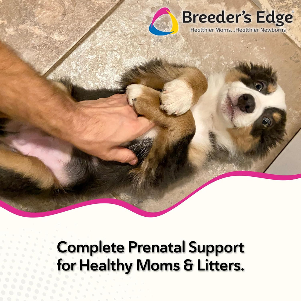Breeder's Edge Oxy Mate Prenatal Vitamins for Dogs & Cats - Soft Chews with Iron, Folic Acid & Zinc - 60 Count