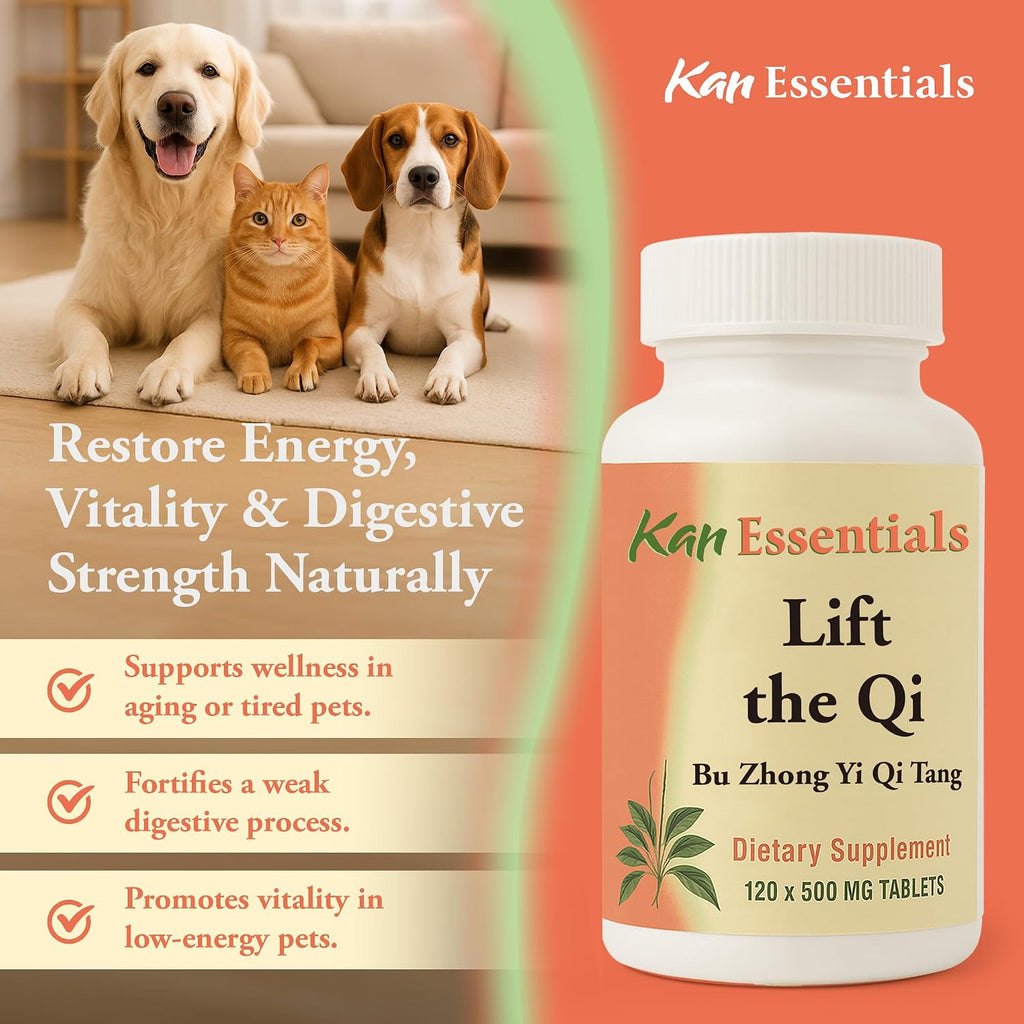 Kan Herb Company Lift the Qi – Mezcla herbal china tradicional para perros y gatos, 120 comprimidos
