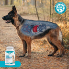 Wanderfound Pets Cardo Mariano para Perros – Sabor Salmón y Bacon – 100 Comprimidos Masticables