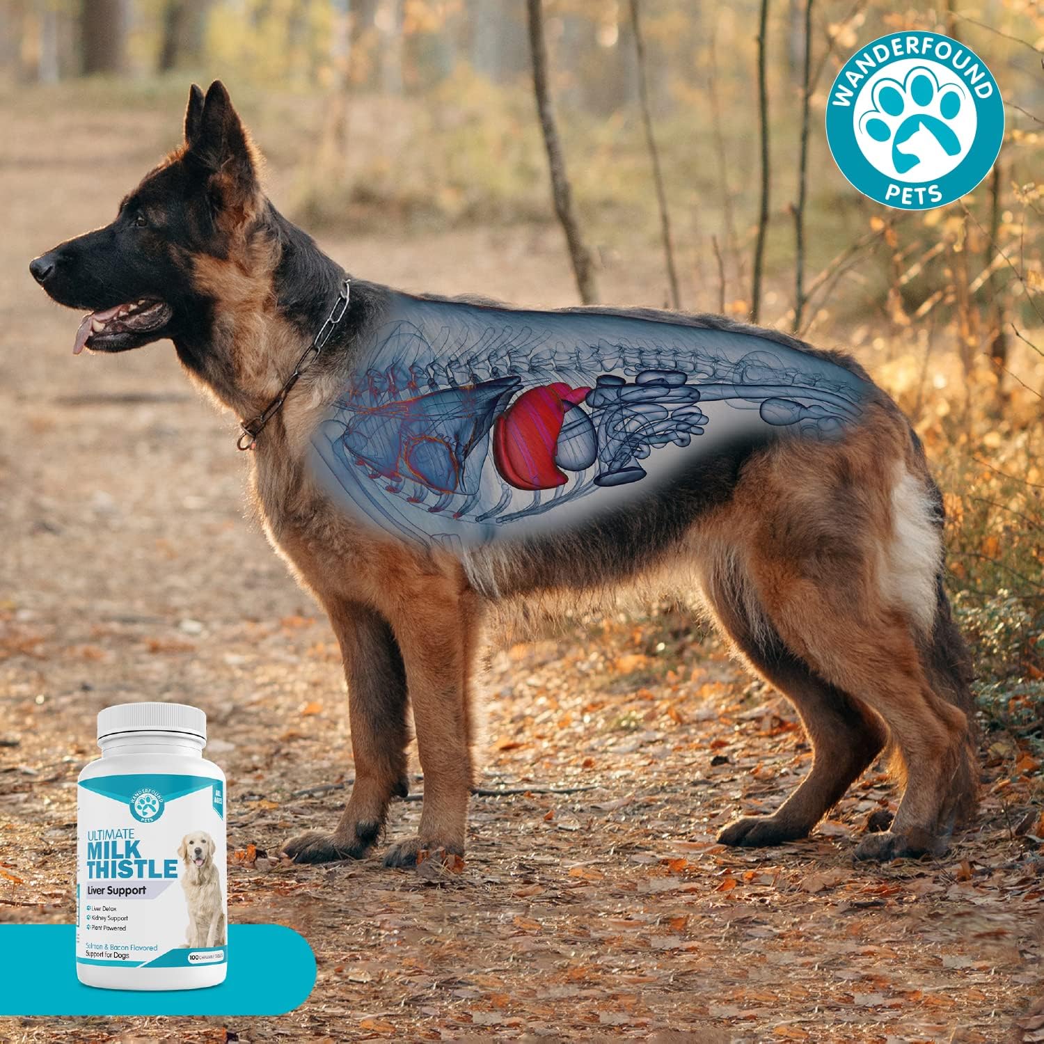 Wanderfound Pets Cardo Mariano para Perros – Sabor Salmón y Bacon – 100 Comprimidos Masticables