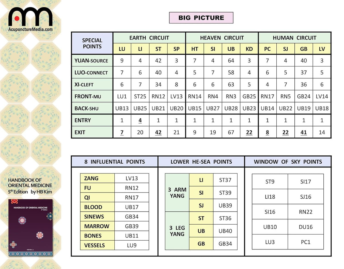 Handbook of Oriental Medicine (5th edition) – Principios fundamentales: teoría del Yin-Yang, los Cinco Elementos, – Image 1