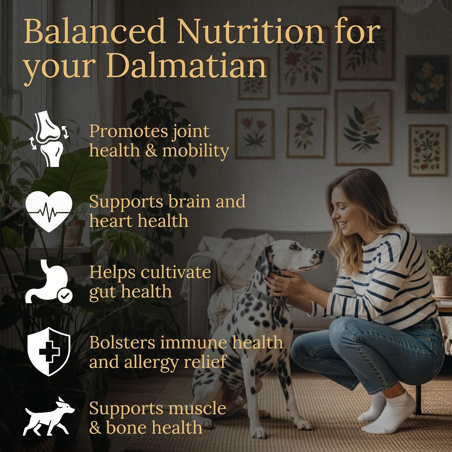 Prestige Breed Multivitamínicos para Dálmatas, 90 unidades, con auténtico tocino