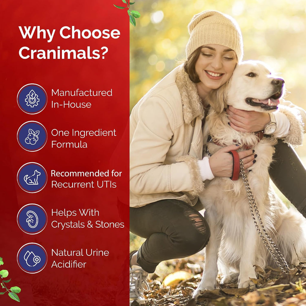 Cranimals Suplemento Orgánico de Arándano para Perros y Gatos - 60g (2000mg por dosis)