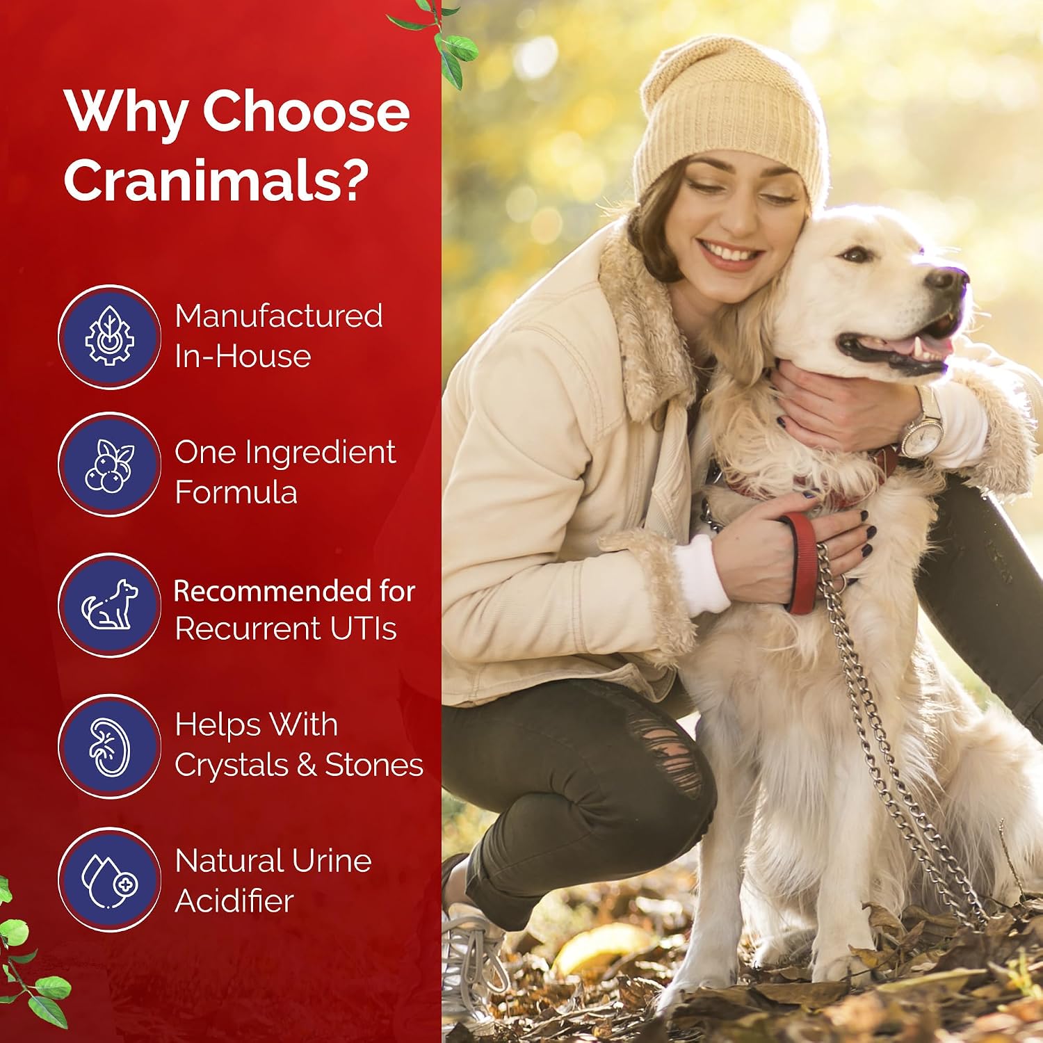Cranimals Suplemento Orgánico de Arándano para Perros y Gatos - 60g (2000mg por dosis)