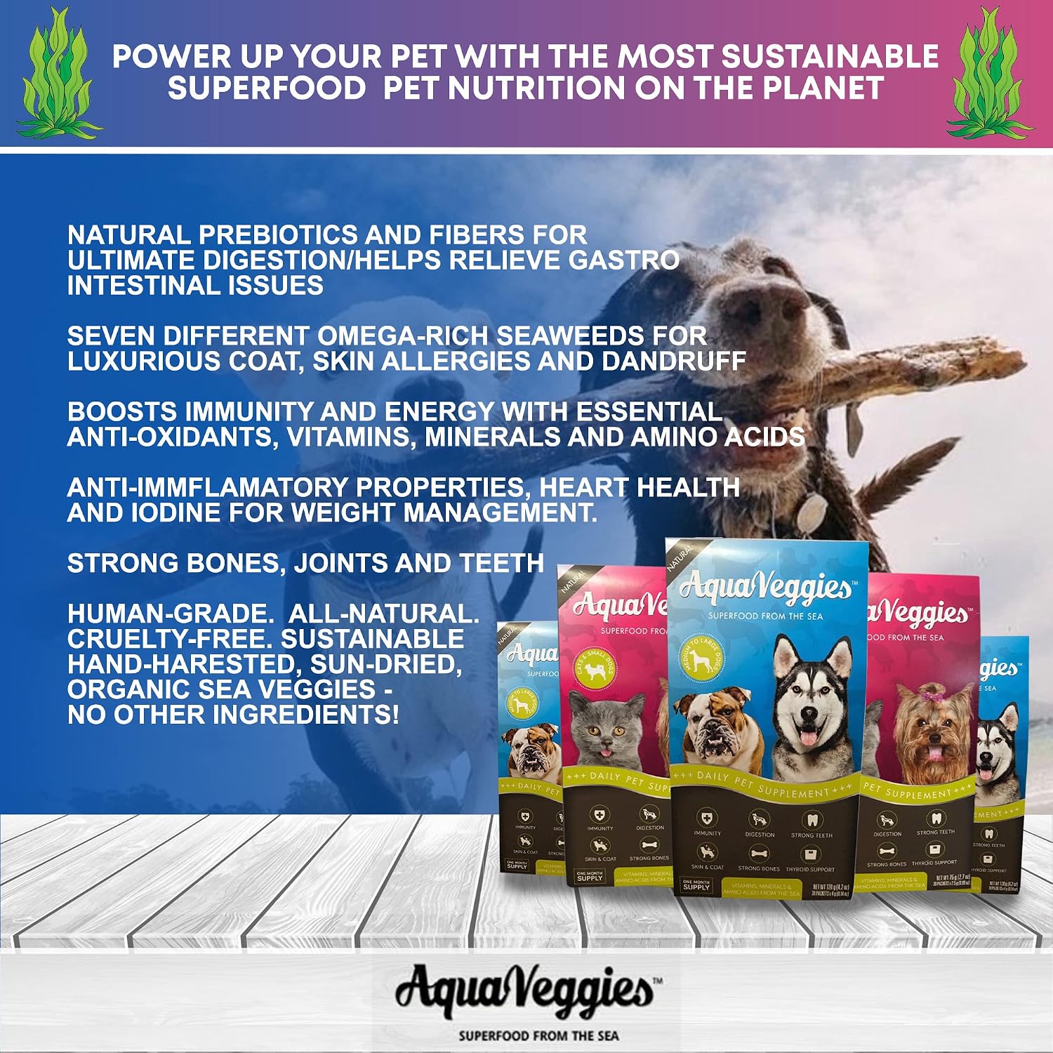 Superalimento Marino para Mascotas - 30 Sobres Diarios (75g) - Multivitamínico para Perros y Gatos Pequeños