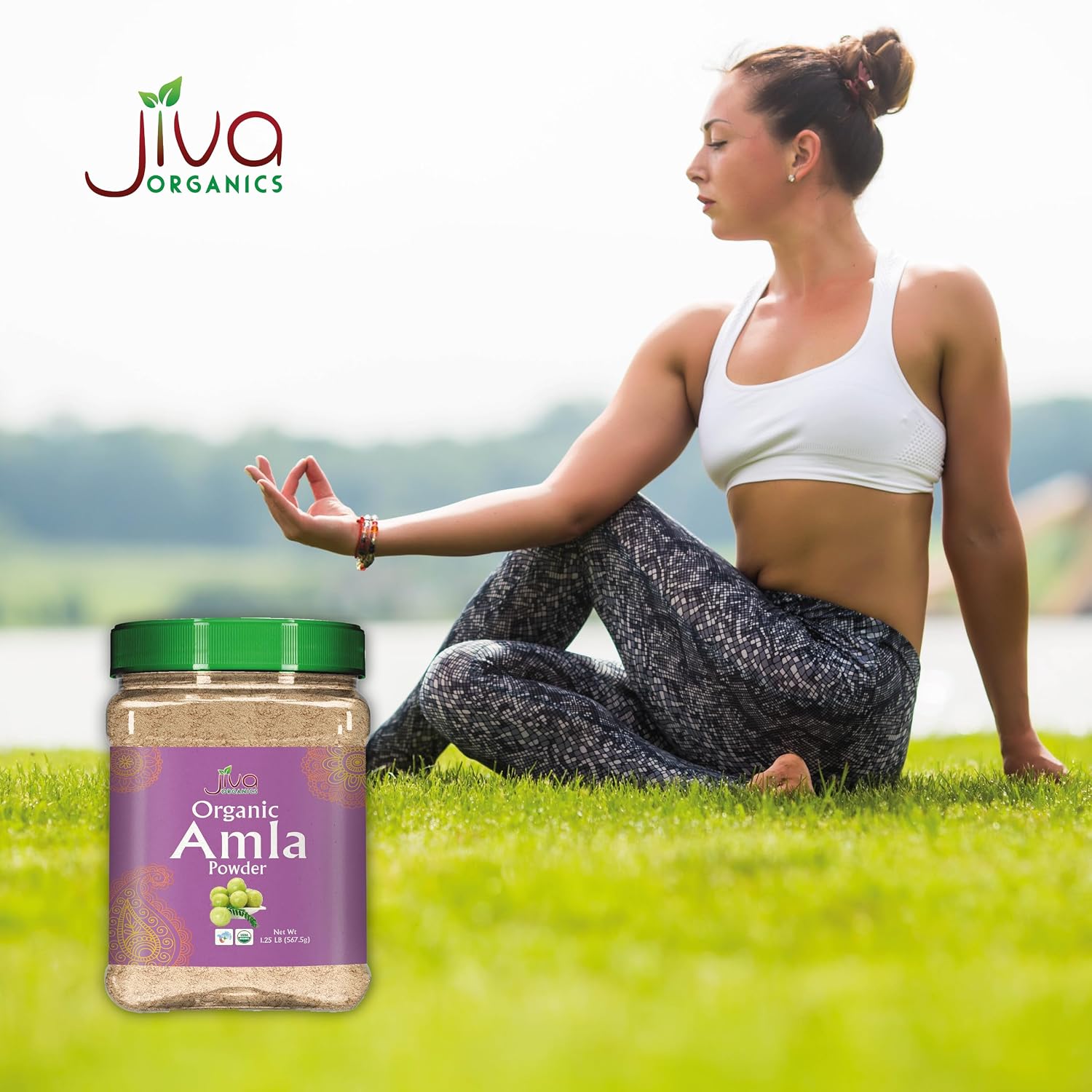 Polvo de Amla Orgánico 567 g - Puro, Libre de Gluten, No GMO, Amalaki de India, Vitamina C - Jiva Organics