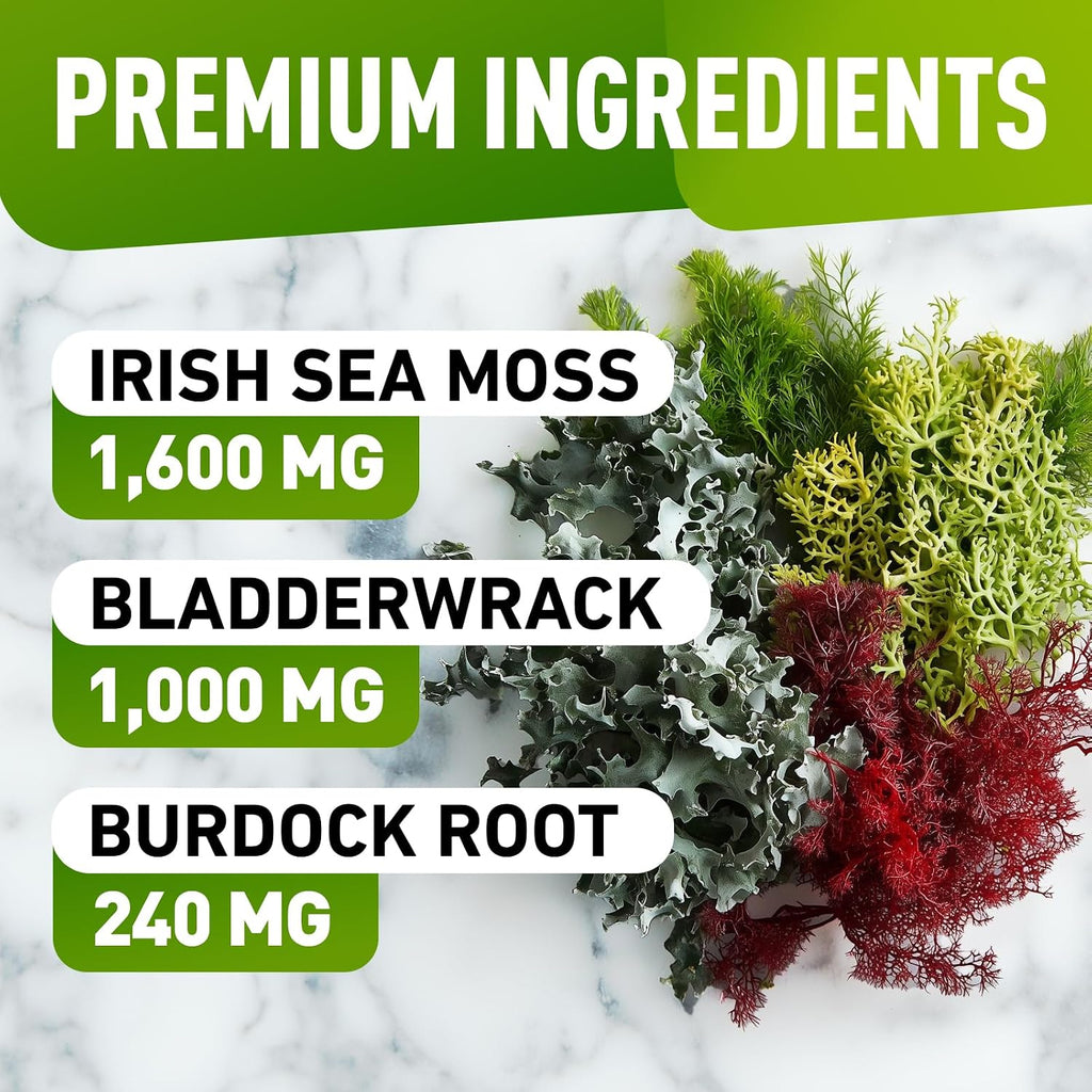BioVit Sea Moss Gummies - Gominolas de Sea Moss Silvestre con Bladderwrack y Burdock - 60 Gominolas Veganas