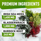 BioVit Sea Moss Gummies - Gominolas de Sea Moss Silvestre con Bladderwrack y Burdock - 60 Gominolas Veganas