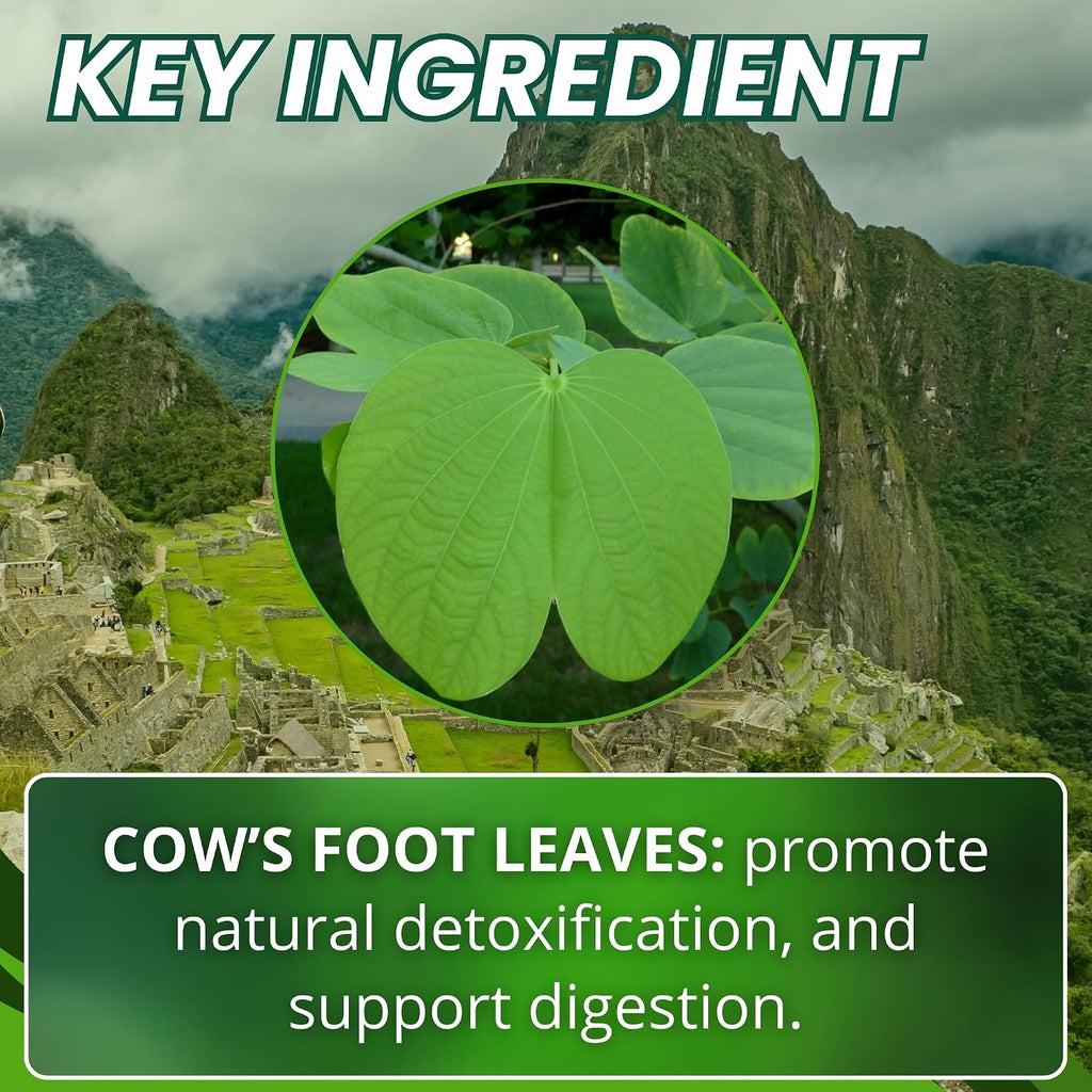 Hanan Pata de Vaca 100 Cápsulas – Bauhinia forficata – Suplemento Herbal Natural de Perú