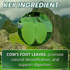 Hanan Pata de Vaca 100 Cápsulas – Bauhinia forficata – Suplemento Herbal Natural de Perú